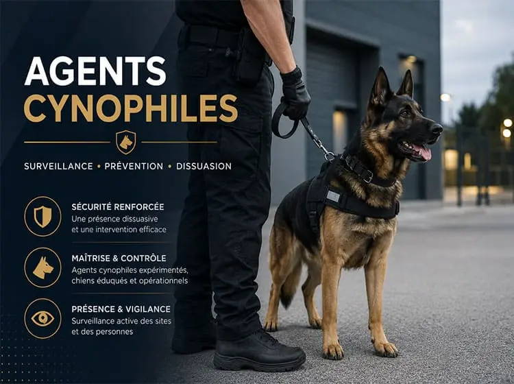 Agent Cynophile de Sécurité Toulouse